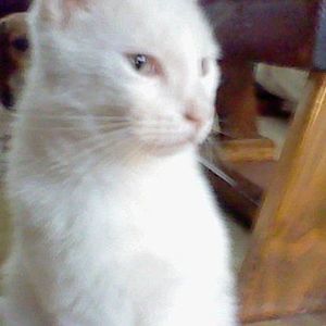 Meet your Posher, Carol